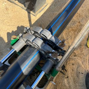 WhatsApp Image 2026-02-20 at 6.57.48 AM