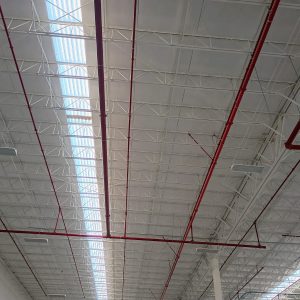 WhatsApp Image 2026-02-20 at 7.13.32 AM