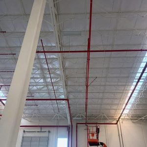 WhatsApp Image 2026-02-20 at 7.13.33 AM (4)