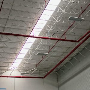 WhatsApp Image 2026-02-20 at 7.13.34 AM (3)