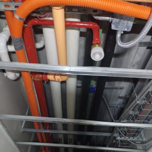 WhatsApp Image 2026-02-20 at 8.03.24 AM (2)