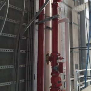 WhatsApp Image 2026-02-20 at 8.03.25 AM