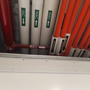 WhatsApp Image 2026-02-20 at 8.03.26 AM (1)