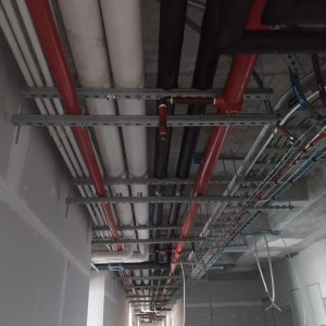 WhatsApp Image 2026-02-20 at 8.03.26 AM (2)