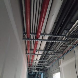 WhatsApp Image 2026-02-20 at 8.03.26 AM (8)